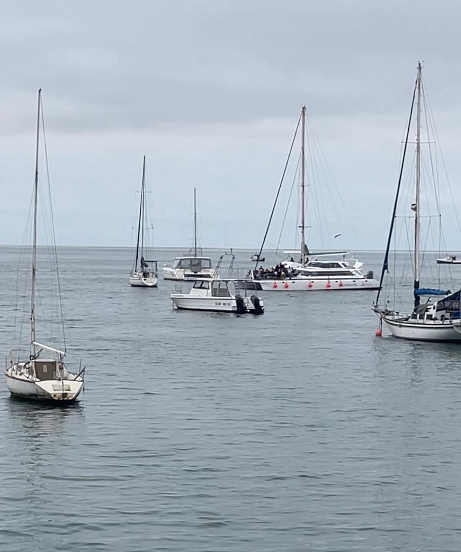 Sailboats and catamarans moored in the Walvis Bay harbor