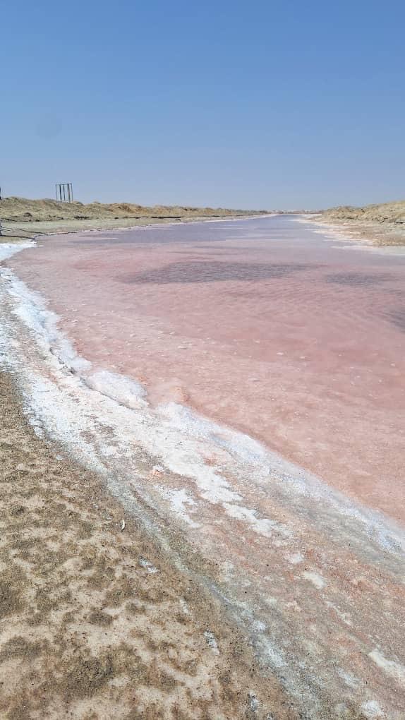 Close-up view of the pink salt waters and white salt crystals at the Pink Lake