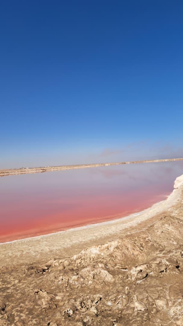 Panoramic view of the vibrant pink waters stretching into the horizon under blue skies