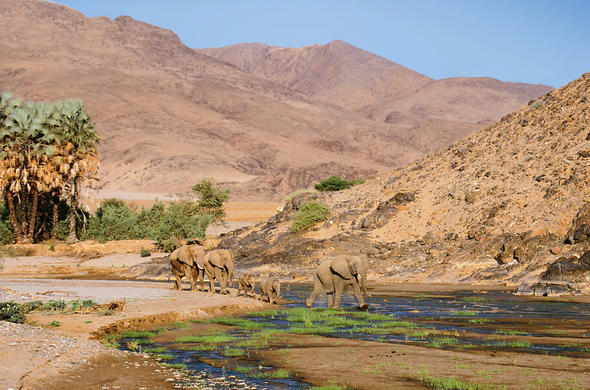 Damaraland Tour - Twyfelfontein rock engravings